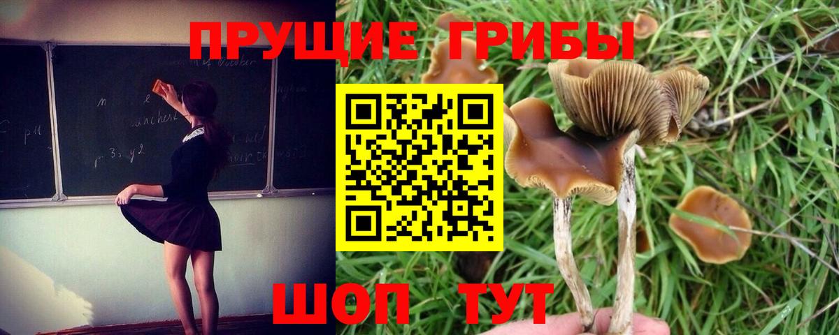 Псилоцибиновые грибы мицелий  Псилоцибиновые грибы мицелий  купить   Вход с VPN  Углич 